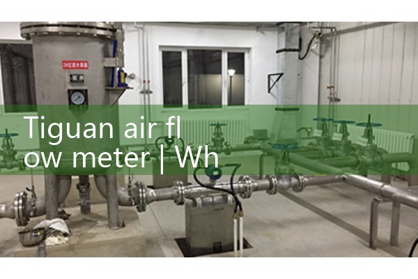 Tiguan air flow meter